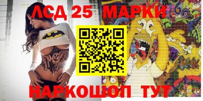 гидра Моздок