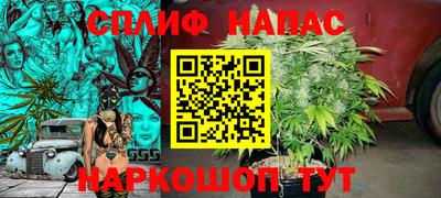 гидра Моздок