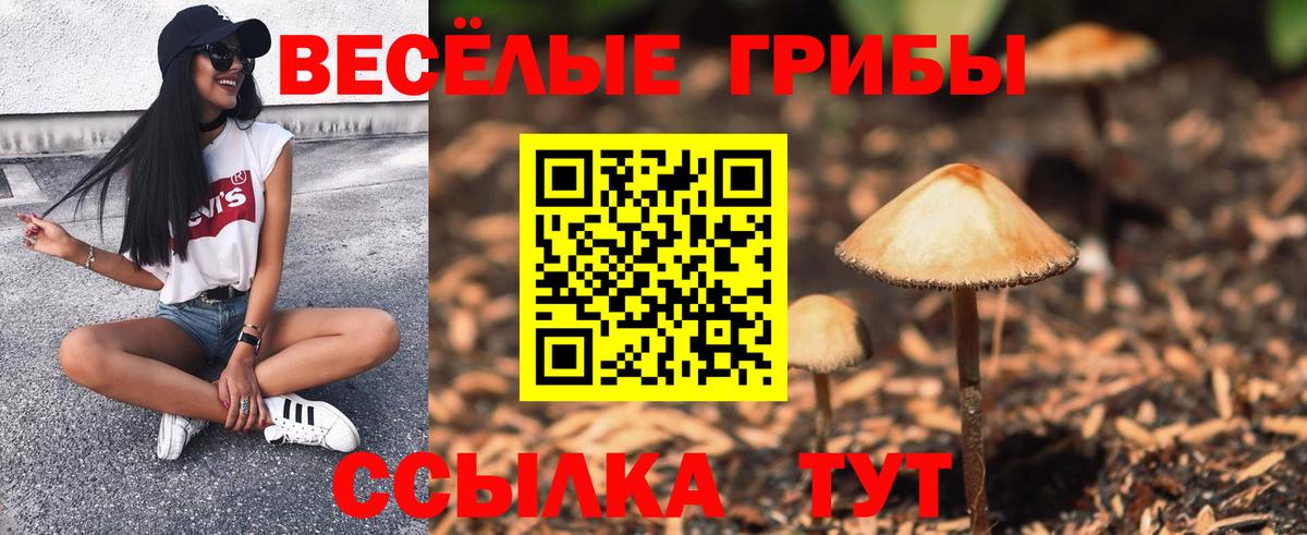 Галлюциногенные грибы Magic Shrooms  Вход с VPN  Чернушка 